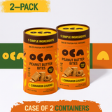 Sugar-Free Cinnamon Churro Peanut Butter Bites — 30g protein per container, 5 ingredients