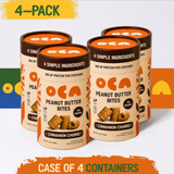 Cinnamon Churro Peanut Butter Bites — 30g protein per container, 4 ingredients - 4 pack