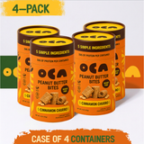 Sugar-Free Cinnamon Churro Peanut Butter Bites — 30g protein per container, 5 ingredients - 4 pack